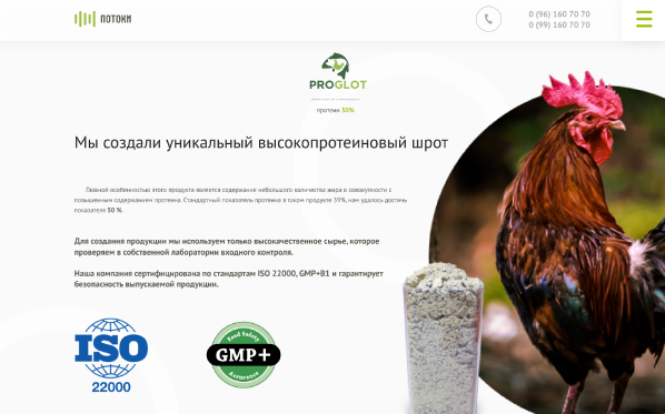 Potoki website screenshot